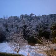 Bourg-Saint-Andéol 10/12/2021