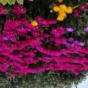 Trinity Place 14/12/2021