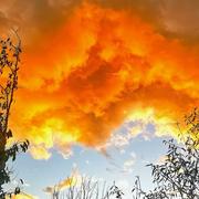 Beaucaire 17/12/2021