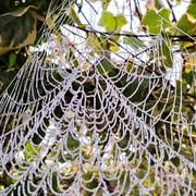 Beauregard-Vendon 19/12/2021