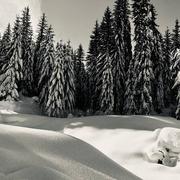 Thorens-Glières 23/12/2021