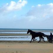 Sainte-Marie-du-Mont 28/12/2021