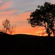 Flassans-sur-Issole 30/12/2021