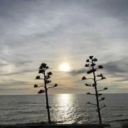 Carry-le-Rouet 30/12/2021