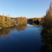 Saint-Sulpice-la-Pointe 01/01/2022