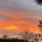 Le Petit Marnanton 02/01/2022