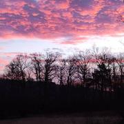 Rosiers-de-Juillac 02/01/2022