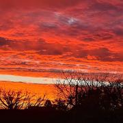 Quatremare 03/01/2022