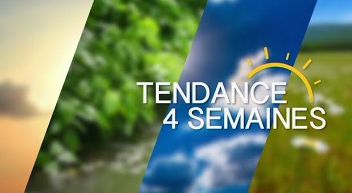 Trend van 4 weken: weer tot 6 februari Trend van 4 weken: weer tot 6 februari