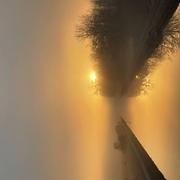 Minversheim 09/01/2022