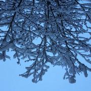 Prunières 10/01/2022