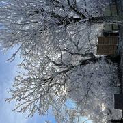 Saint-Pierre-le-Bost 11/01/2022