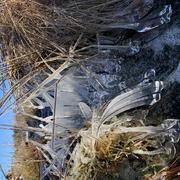 La Valentine 11/01/2022