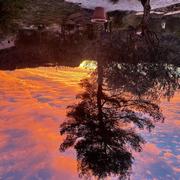 Belgentier 12/01/2022