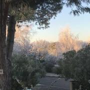 Pin-Balma 14/01/2022