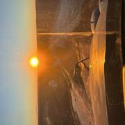 Montblanc 15/01/2022