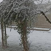 Châtellerault 15/01/2022