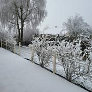 Combertault 16/01/2022