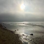 Notre-Dame-de-Monts 16/01/2022