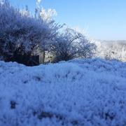 Beynac-et-Cazenac 16/01/2022