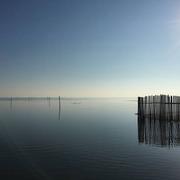 Andernos-les-Bains 18/01/2022