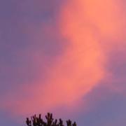 Saint-Michel 20/01/2022