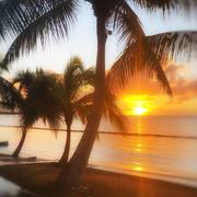 Saint-François 23/01/2022