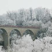 Saint-Symphorien-de-Lay 27/01/2022