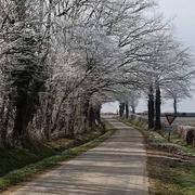 Genouillac 28/01/2022