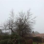 Montivilliers 29/01/2022