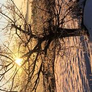 Amont-et-Effreney 30/01/2022