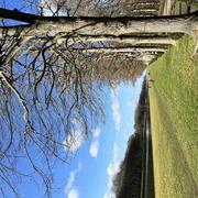 Versailles 31/01/2022