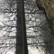 Les Forges 31/01/2022