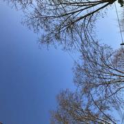 Rabastens 01/02/2022