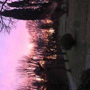 Flamarens 02/02/2022