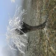 Saint-Pierre-d'Alvey 02/02/2022