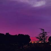 Barbentane 02/02/2022