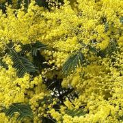 Beg-Léguer 05/02/2022