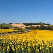 Flamarens 05/02/2022