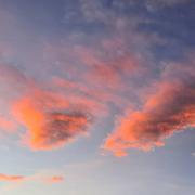 Carcassonne 07/02/2022