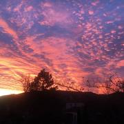 Forcalqueiret 10/02/2022