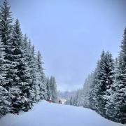 La Perrière 11/02/2022