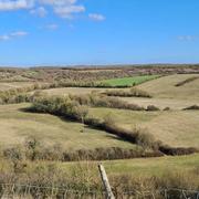 Le Chillou 12/02/2022