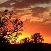 Breuilaufa 23/07/2010