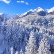 Les Orres 15/02/2022