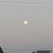 Cornillé 17/02/2022