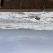 Fort-Mahon-Plage 18/02/2022