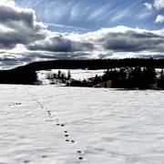 Bellefontaine 24/02/2022