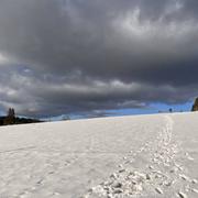 Chaux-Neuve 26/02/2022