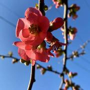 Boissy-le-Châtel 28/02/2022